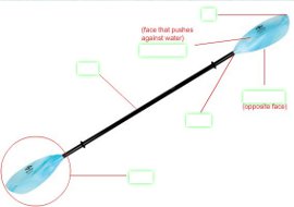 paddle diagram